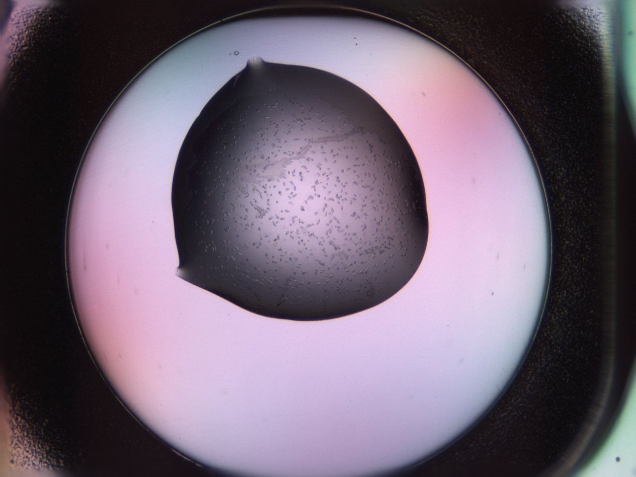 02jm_A6_ImagerDefaults_6.jpg