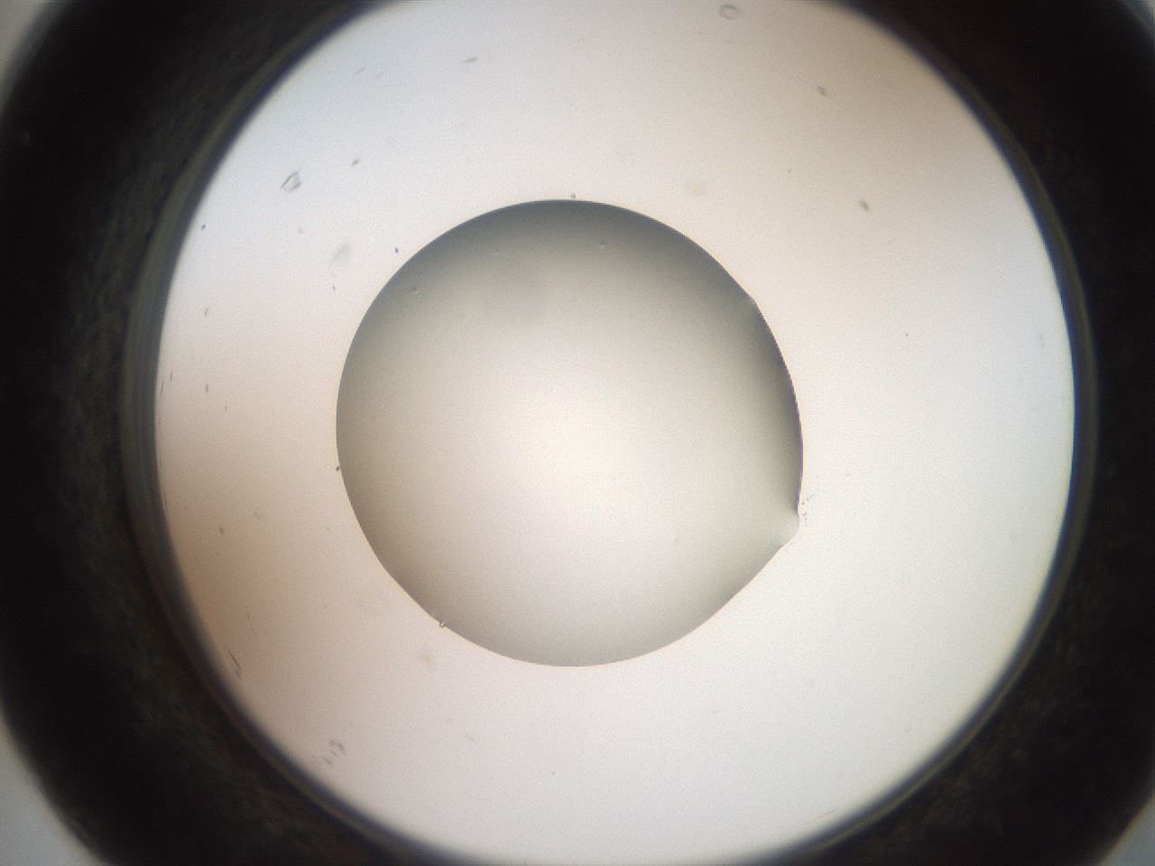 folderID260_plateID2260_batchID10334_wellNum67_profileID1_d2_r157127_ef.jpg
