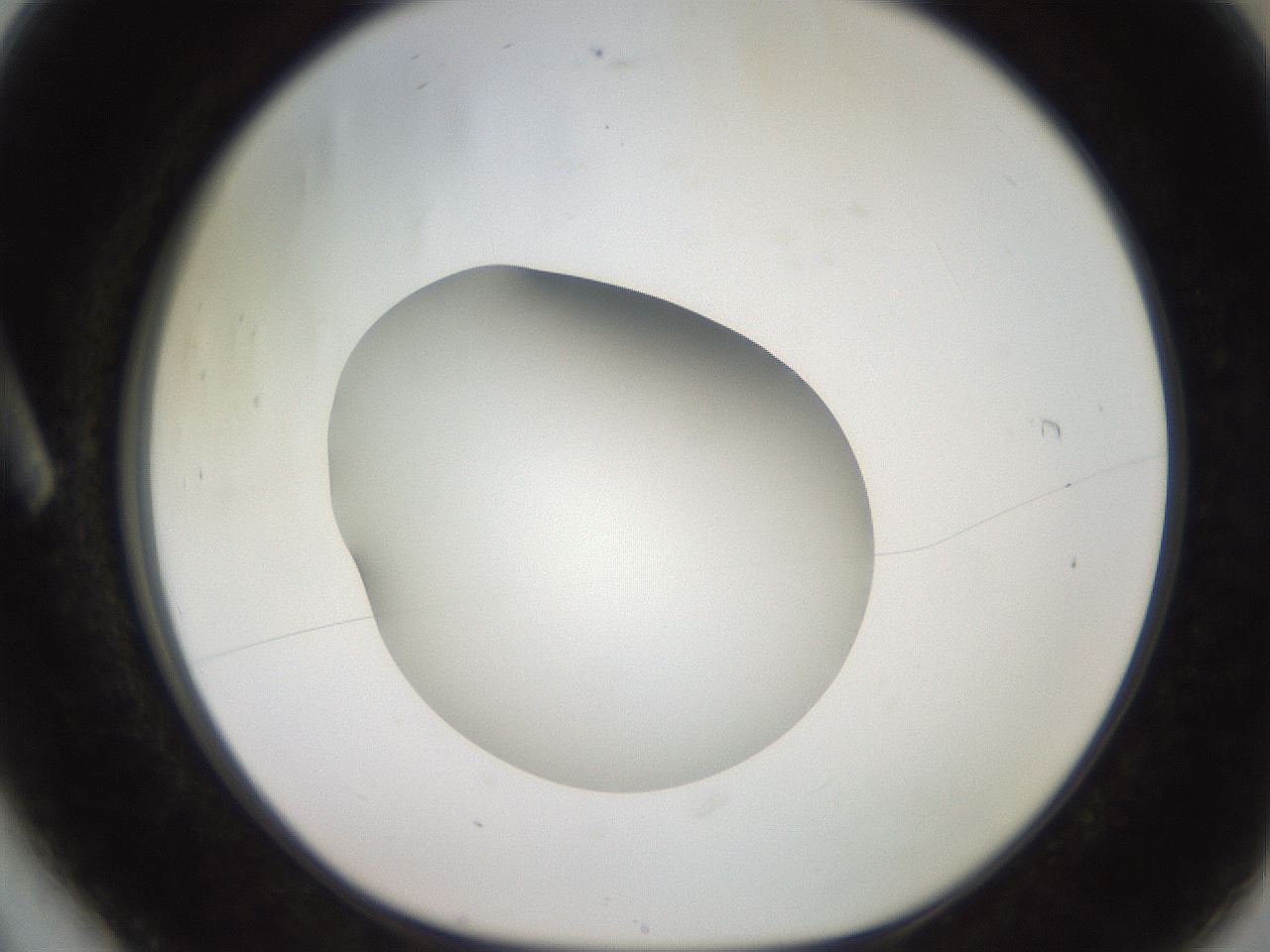 folderID260_plateID2260_batchID10334_wellNum6_profileID1_d1_r157004_ef.jpg