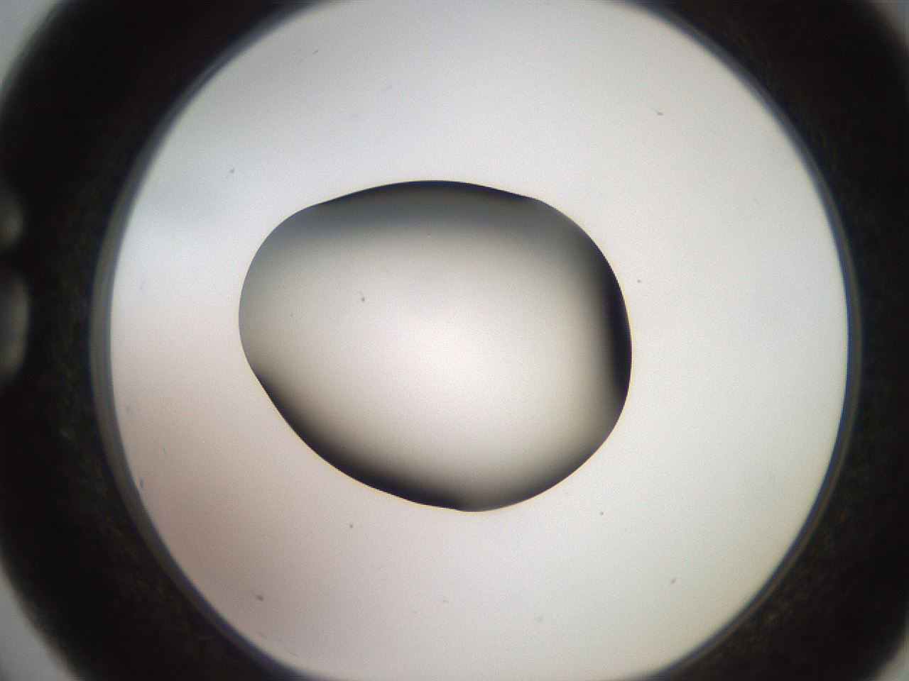 folderID260_plateID2260_batchID10334_wellNum75_profileID1_d1_r157142_ef.jpg