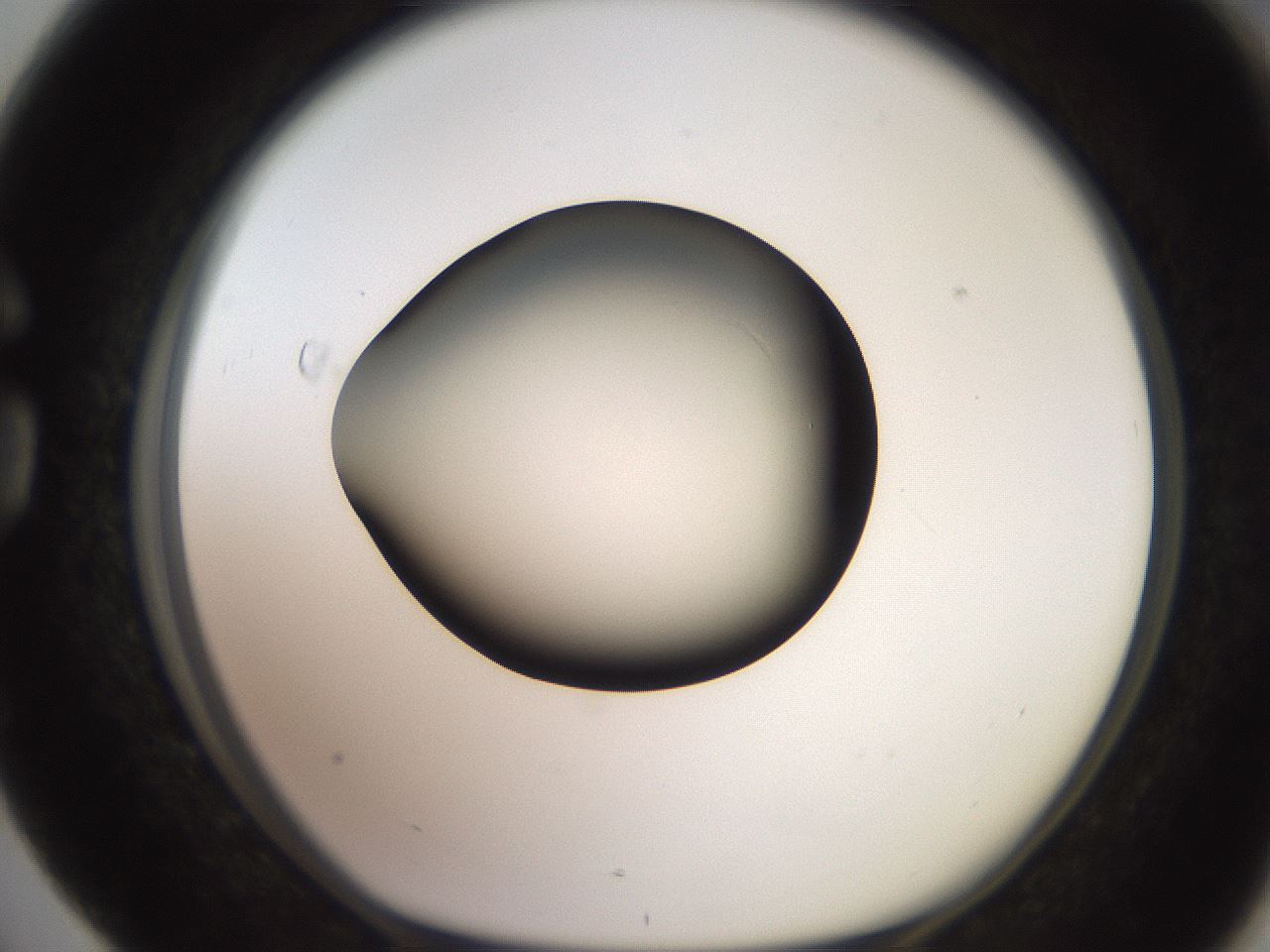 folderID260_plateID2260_batchID10334_wellNum76_profileID1_d1_r157144_ef.jpg