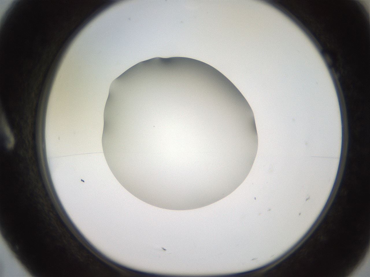 folderID260_plateID2260_batchID10334_wellNum7_profileID1_d1_r157006_ef.jpg