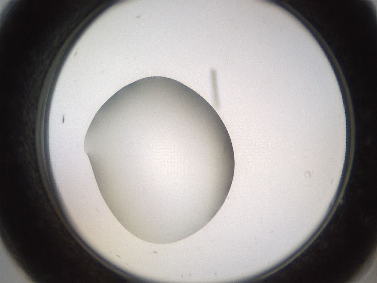 folderID260_plateID2260_batchID10334_wellNum7_profileID1_d2_r157007_ef.jpg