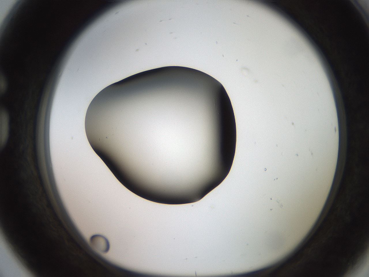 folderID260_plateID2260_batchID10334_wellNum80_profileID1_d1_r157152_ef.jpg