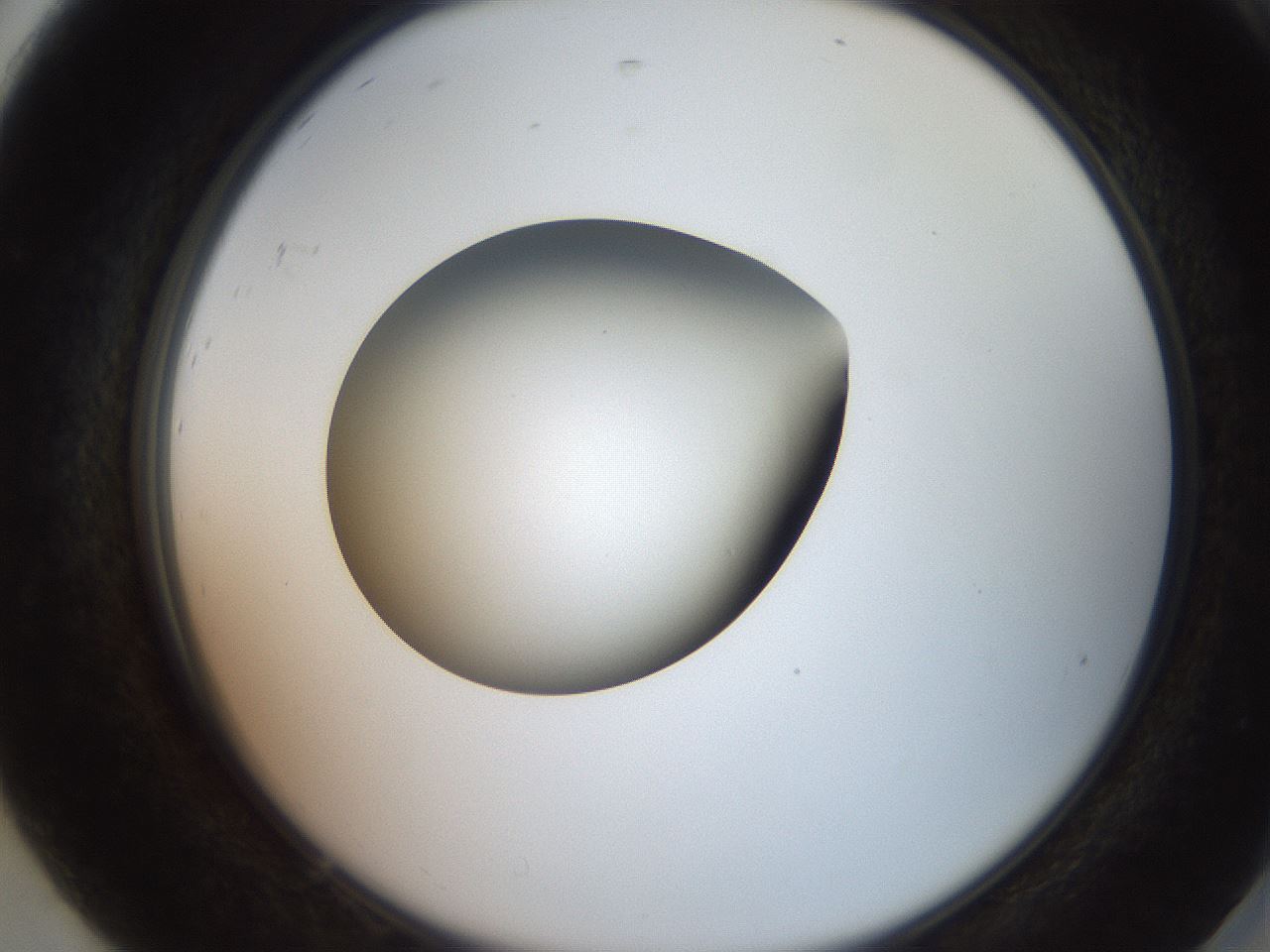 folderID260_plateID2260_batchID10334_wellNum92_profileID1_d2_r157177_ef.jpg