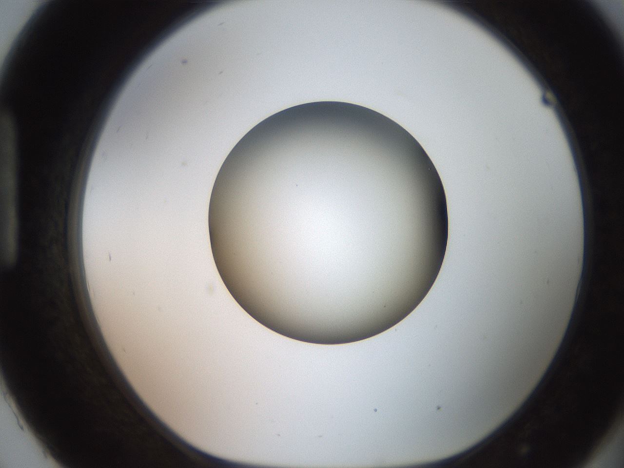 folderID260_plateID2260_batchID10334_wellNum93_profileID1_d1_r157178_ef.jpg