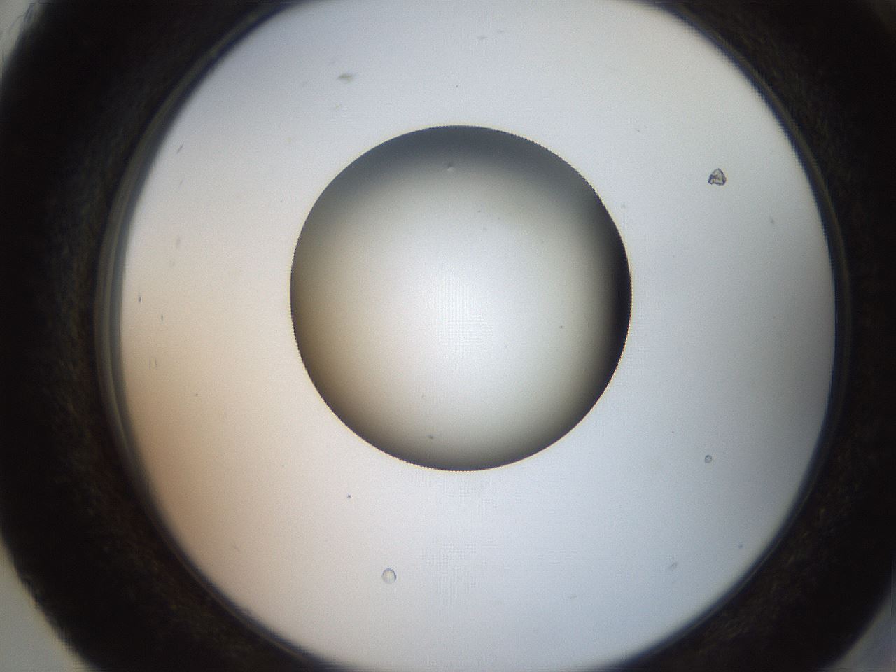 folderID260_plateID2260_batchID10334_wellNum93_profileID1_d2_r157179_ef.jpg
