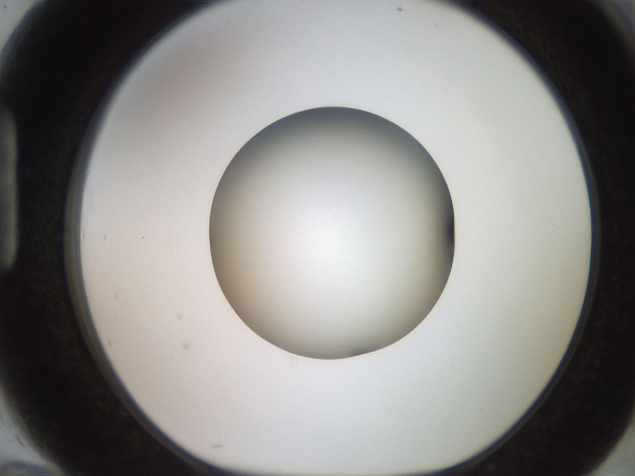 folderID260_plateID2260_batchID10334_wellNum94_profileID1_d1_r157180_ef.jpg