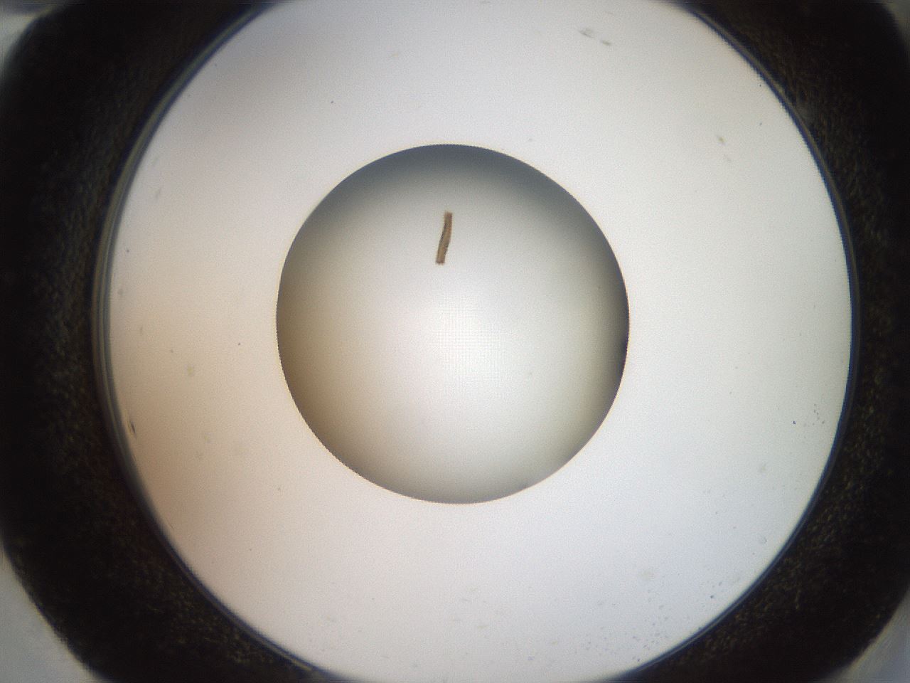 folderID260_plateID2260_batchID10334_wellNum94_profileID1_d2_r157181_ef.jpg