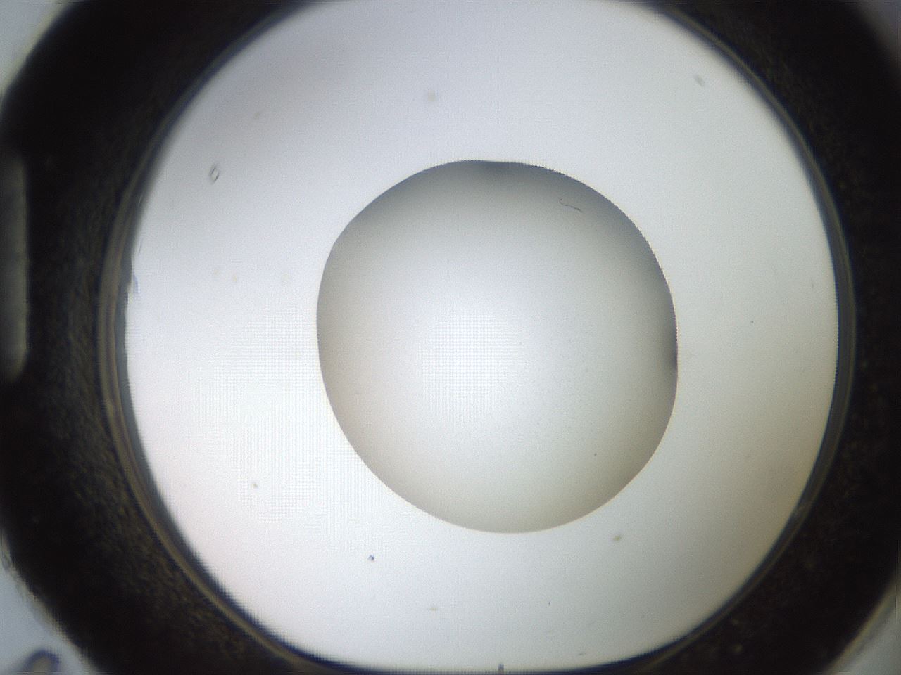 folderID260_plateID2260_batchID10334_wellNum95_profileID1_d1_r157182_ef.jpg