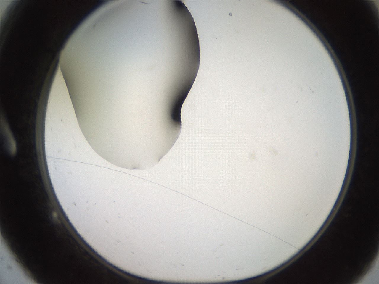 folderID260_plateID2260_batchID10334_wellNum9_profileID1_d1_r157010_ef.jpg