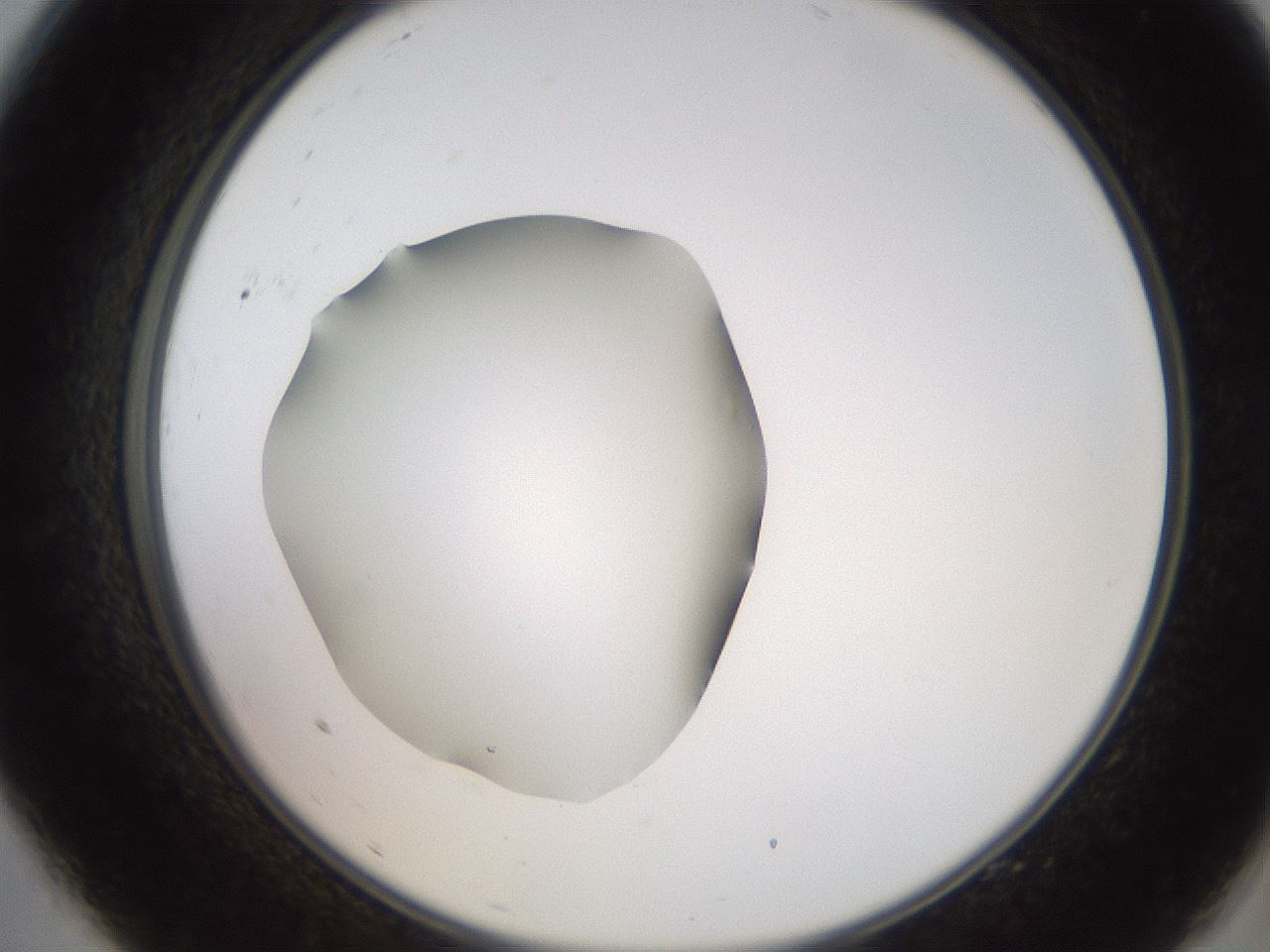 folderID260_plateID2260_batchID10334_wellNum9_profileID1_d2_r157011_ef.jpg