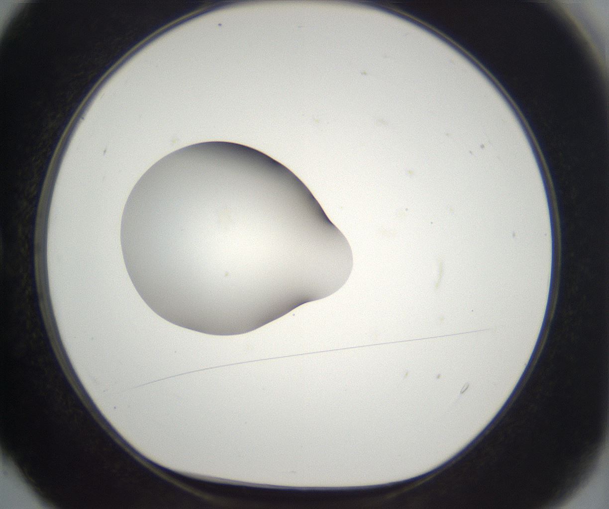 folderID261_plateID2261_batchID10354_wellNum4_profileID1_d1_r158053_ef.jpg