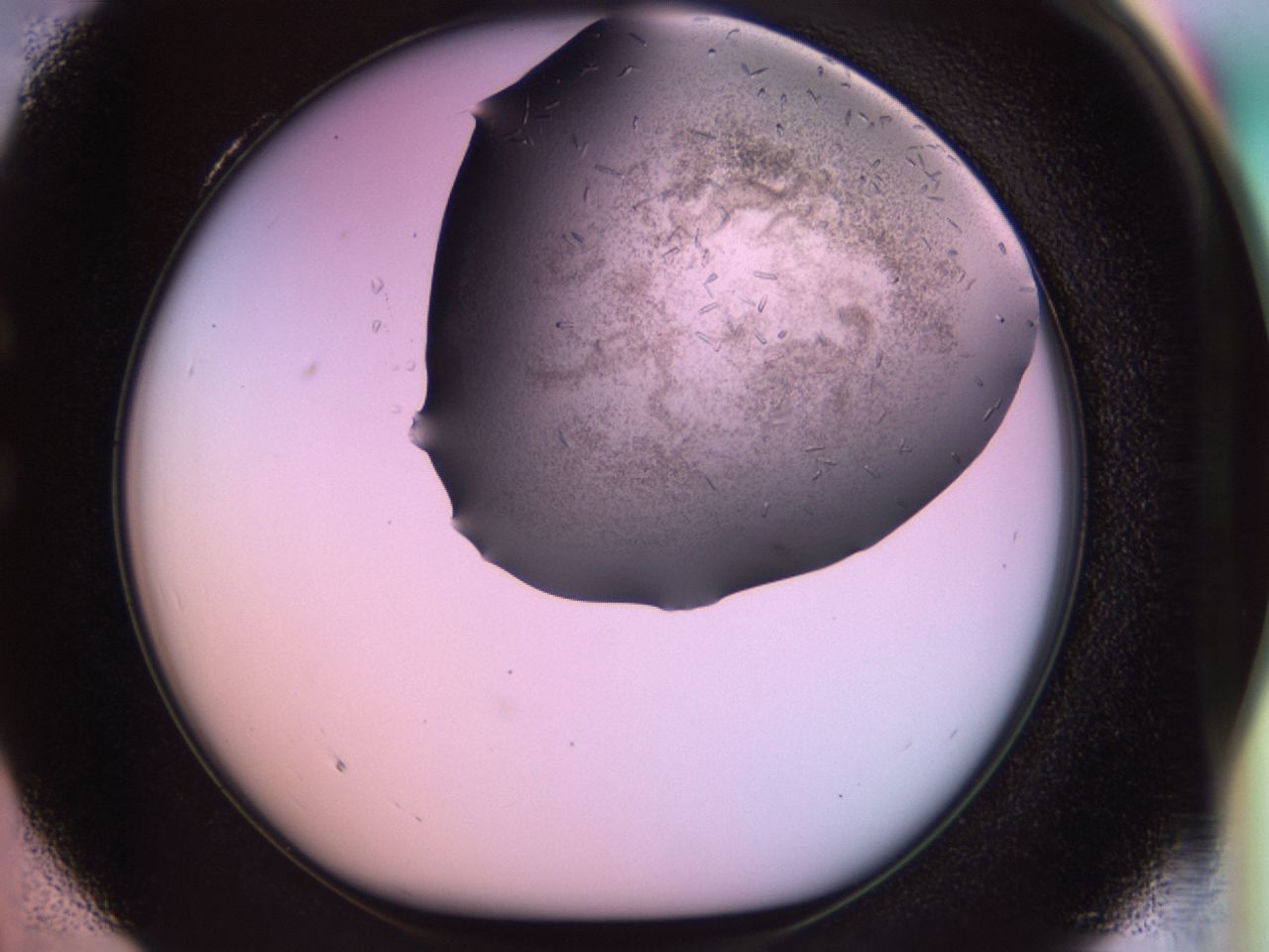 02jm_C4_ImagerDefaults_6.jpg