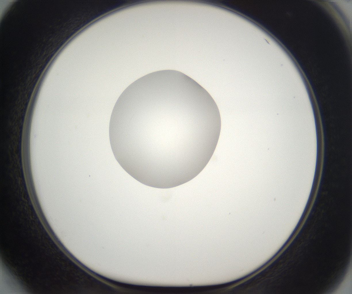 folderID261_plateID2261_batchID10354_wellNum64_profileID1_d1_r158113_ef.jpg