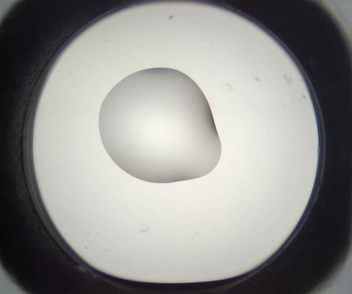 folderID261_plateID2261_batchID10354_wellNum68_profileID1_d1_r158117_ef.jpg