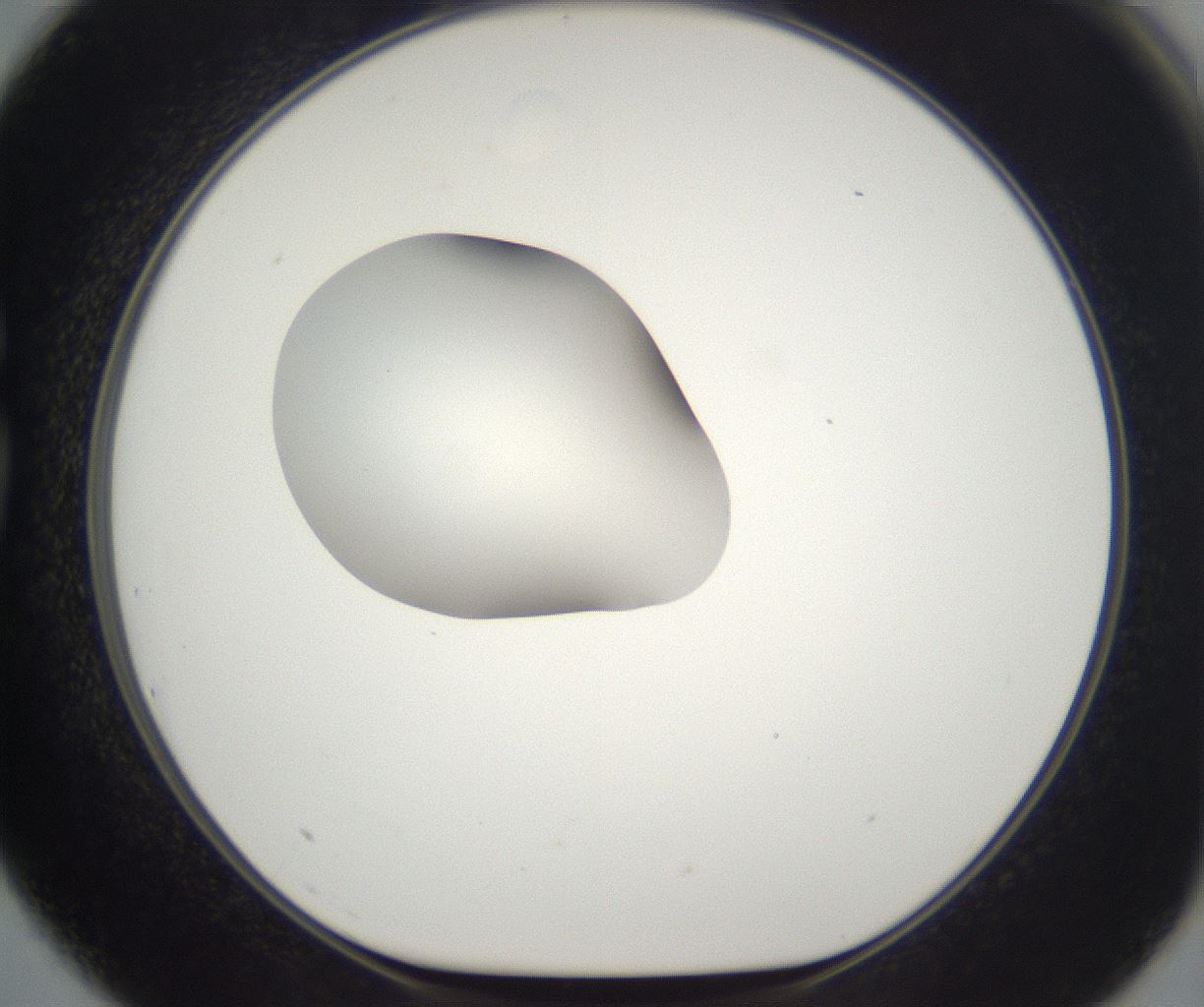 folderID261_plateID2261_batchID10354_wellNum75_profileID1_d1_r158124_ef.jpg