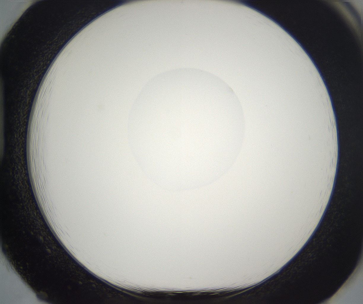 folderID261_plateID2261_batchID10354_wellNum85_profileID1_d1_r158134_ef.jpg