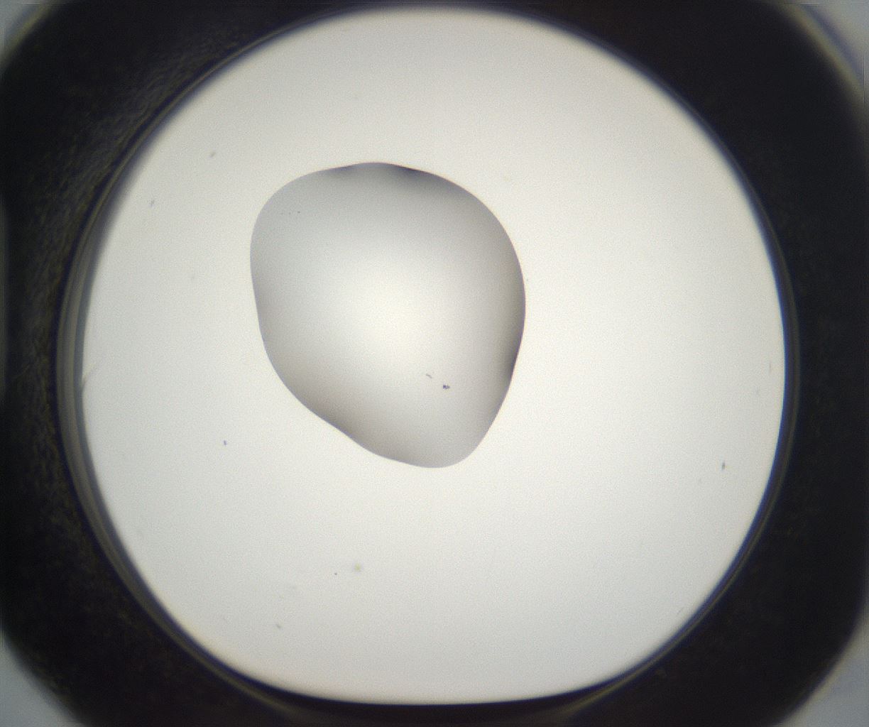 folderID261_plateID2261_batchID10354_wellNum90_profileID1_d1_r158139_ef.jpg