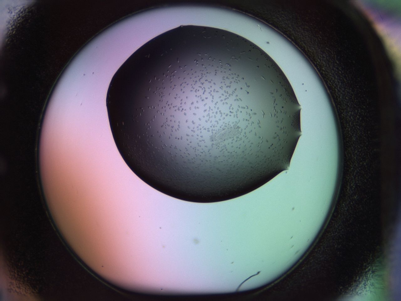 02jr_E6_ImagerDefaults_9.jpg