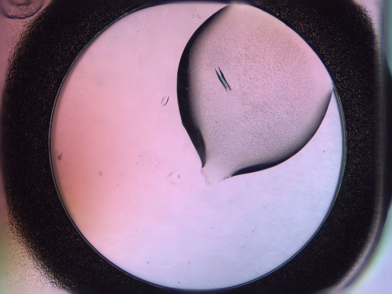 02js_B10_ImagerDefaults_8.jpg
