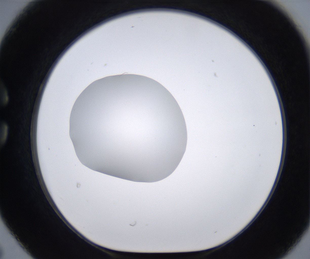 folderID262_plateID2262_batchID10352_wellNum30_profileID1_d1_r157503_ef.jpg