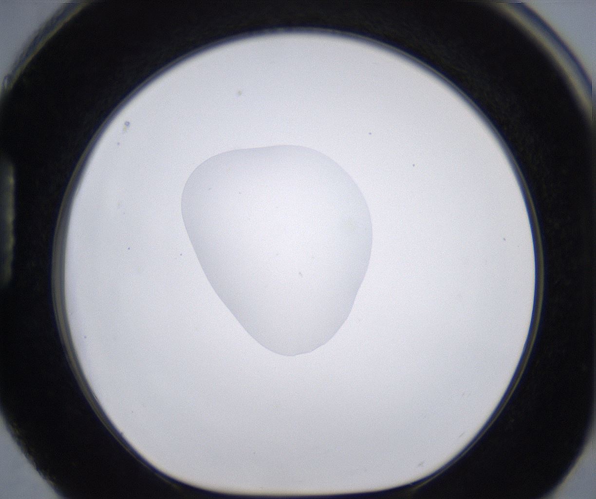 folderID262_plateID2262_batchID10352_wellNum88_profileID1_d1_r157561_ef.jpg