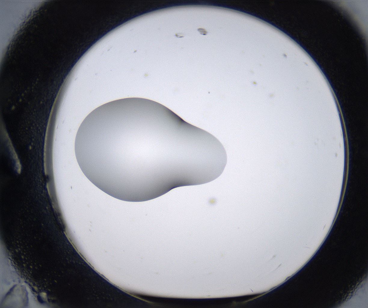 folderID262_plateID2262_batchID10352_wellNum11_profileID1_d1_r157484_ef.jpg