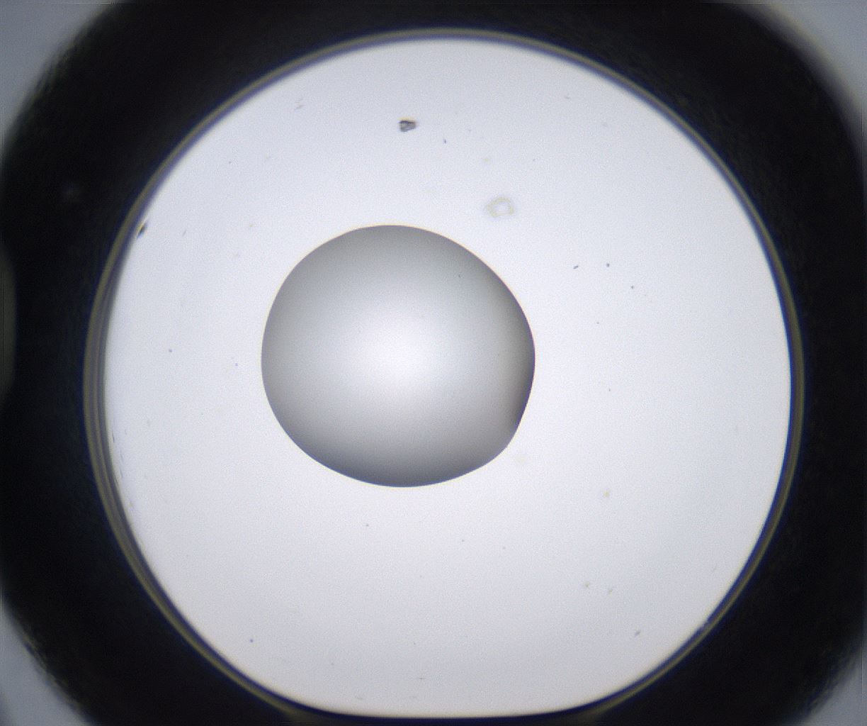 folderID262_plateID2262_batchID10352_wellNum44_profileID1_d1_r157517_ef.jpg