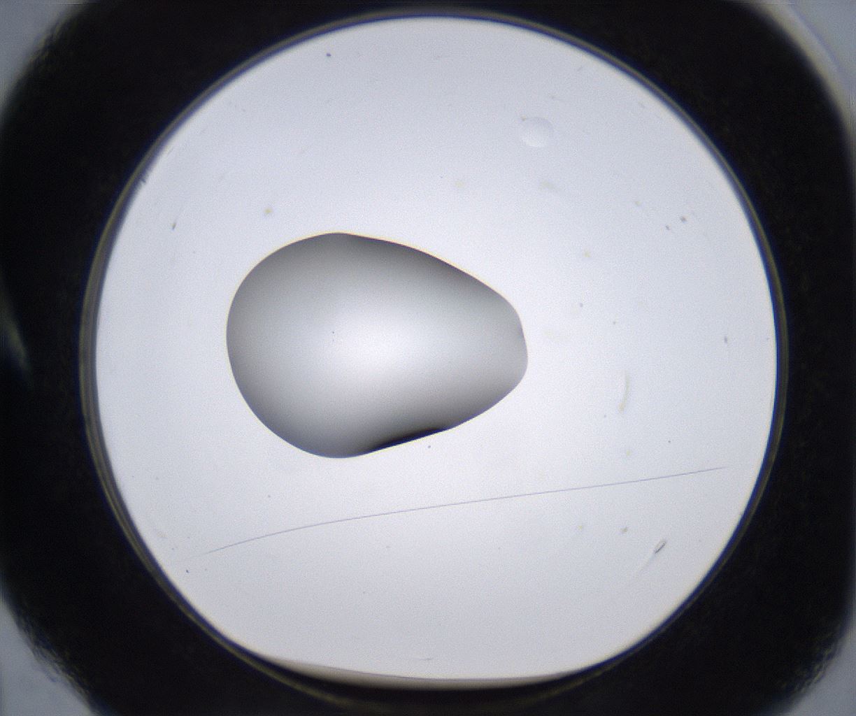 folderID262_plateID2262_batchID10352_wellNum4_profileID1_d1_r157477_ef.jpg