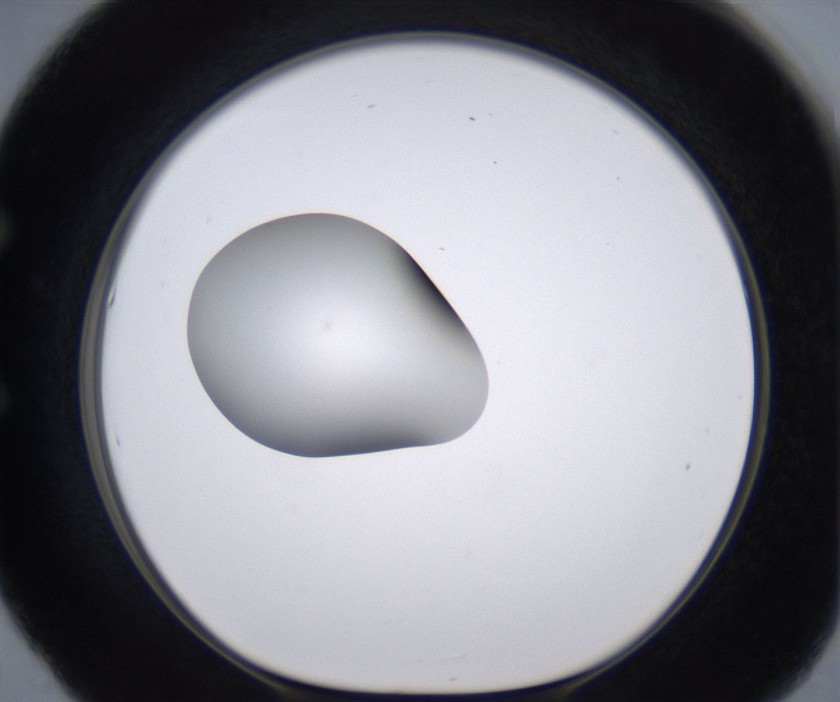 folderID262_plateID2262_batchID10352_wellNum53_profileID1_d1_r157526_ef.jpg