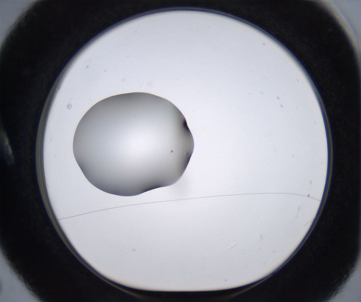 folderID262_plateID2262_batchID10352_wellNum5_profileID1_d1_r157478_ef.jpg