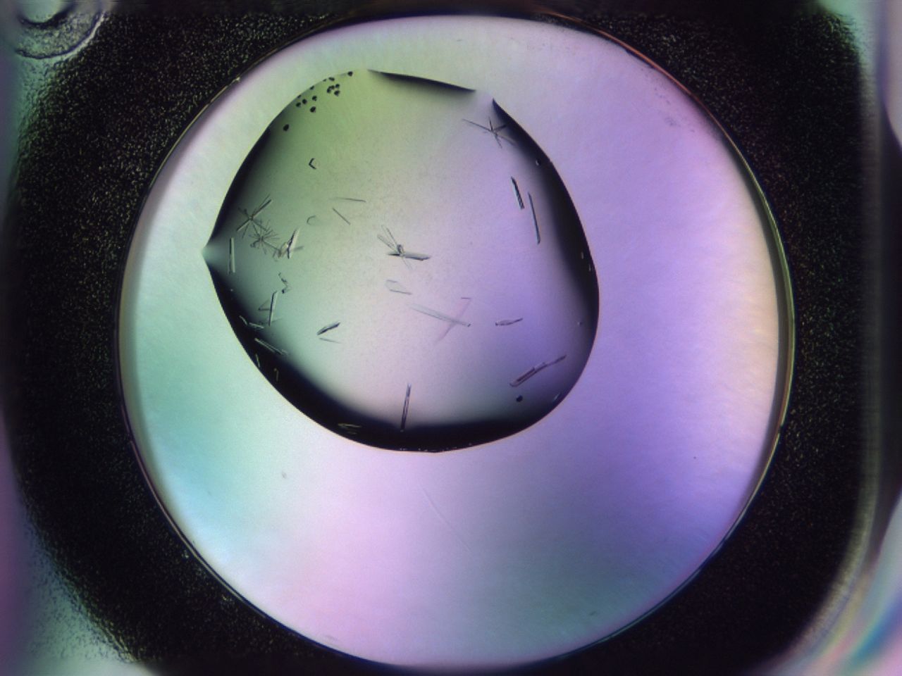 02jt_G10_ImagerDefaults_6.jpg