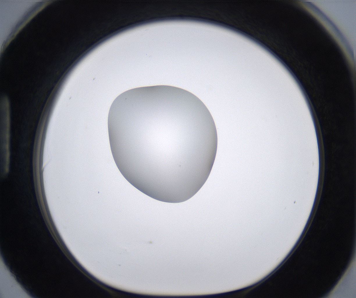folderID262_plateID2262_batchID10352_wellNum90_profileID1_d1_r157563_ef.jpg