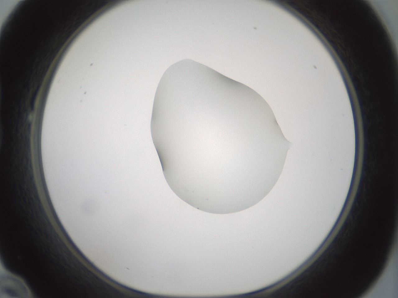 folderID263_plateID1263_batchID4188_wellNum22_profileID1_d1_r73954_ef.jpg