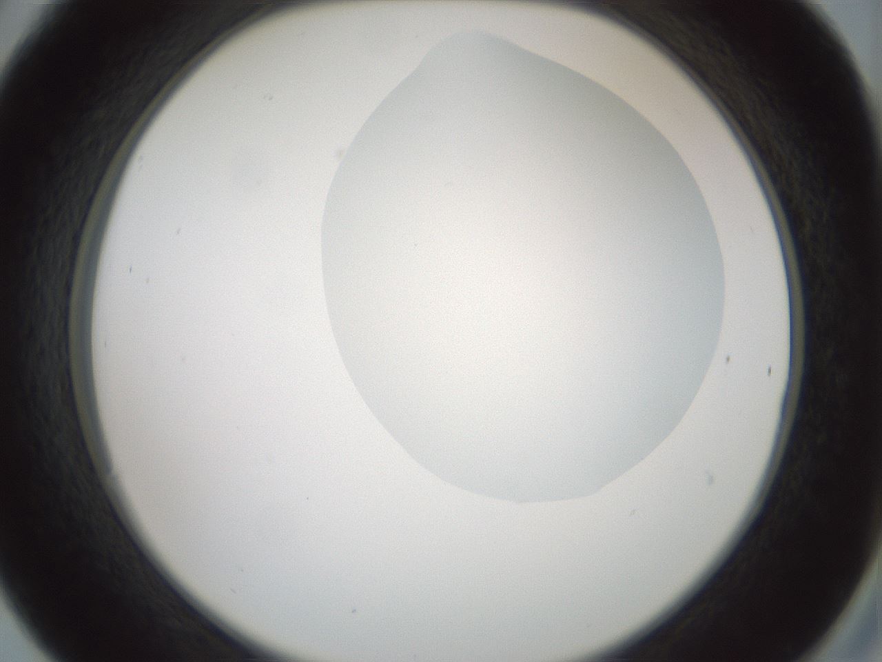 folderID263_plateID1263_batchID4188_wellNum30_profileID1_d2_r73971_ef.jpg