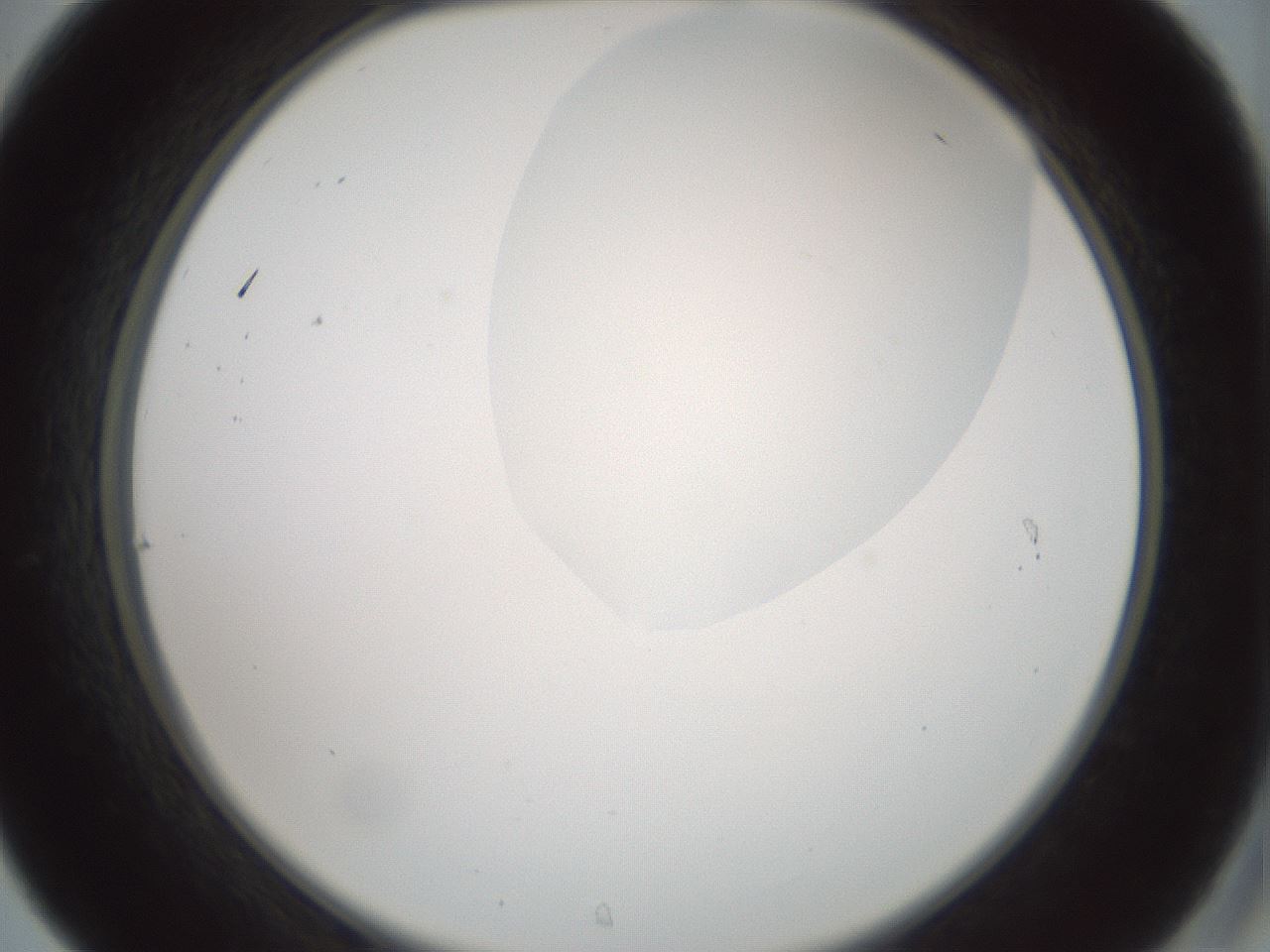 folderID263_plateID1263_batchID4188_wellNum31_profileID1_d2_r73973_ef.jpg