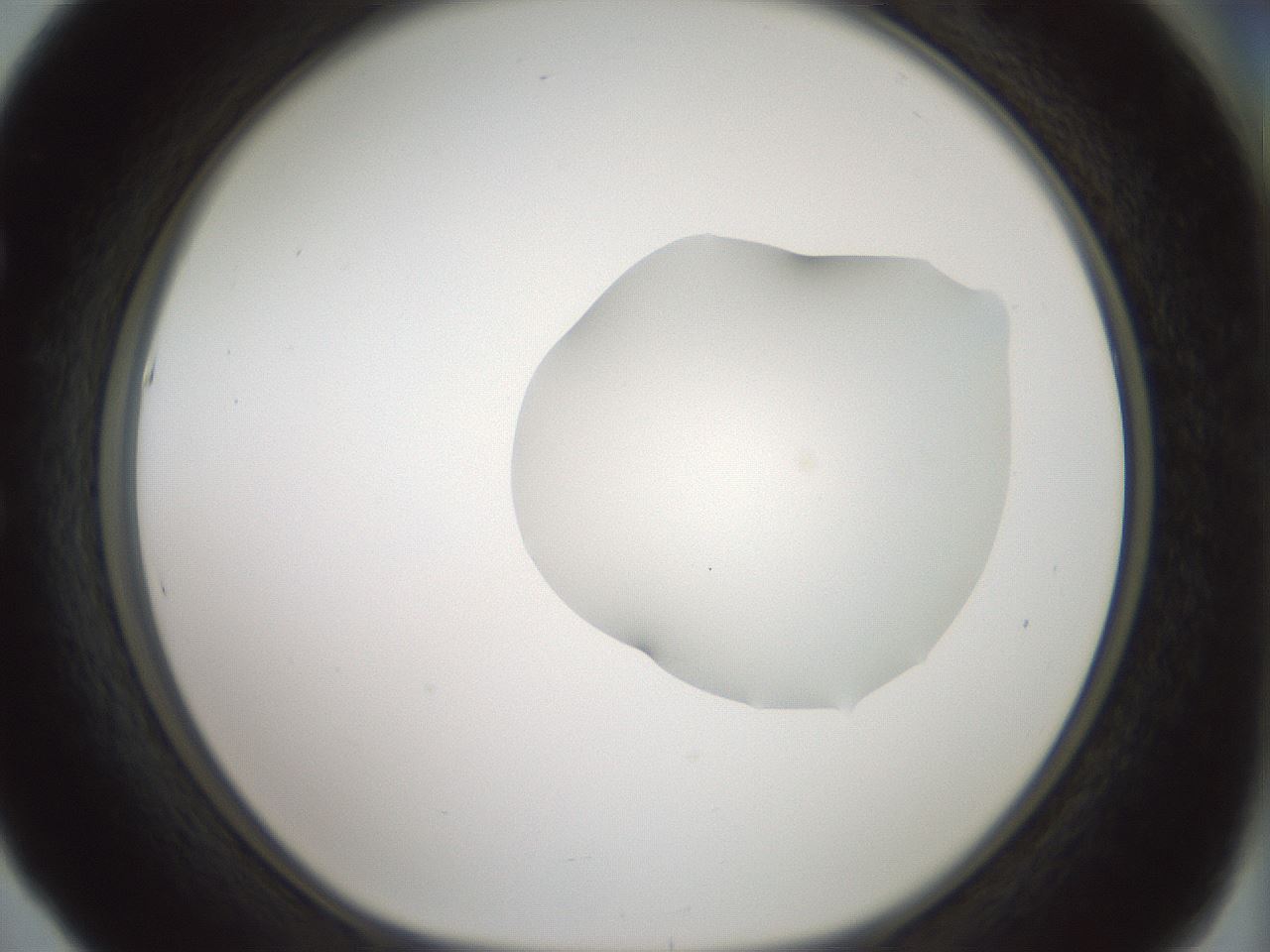 folderID263_plateID1263_batchID4188_wellNum53_profileID1_d1_r74016_ef.jpg