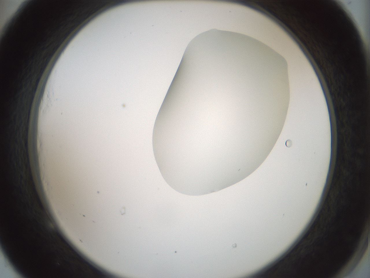 folderID263_plateID1263_batchID4188_wellNum53_profileID1_d2_r74017_ef.jpg