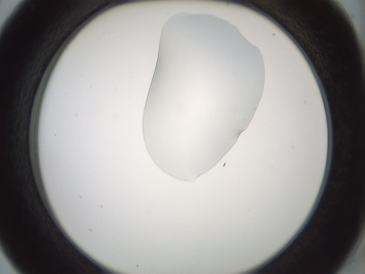 folderID263_plateID1263_batchID4188_wellNum5_profileID1_d2_r73921_ef.jpg