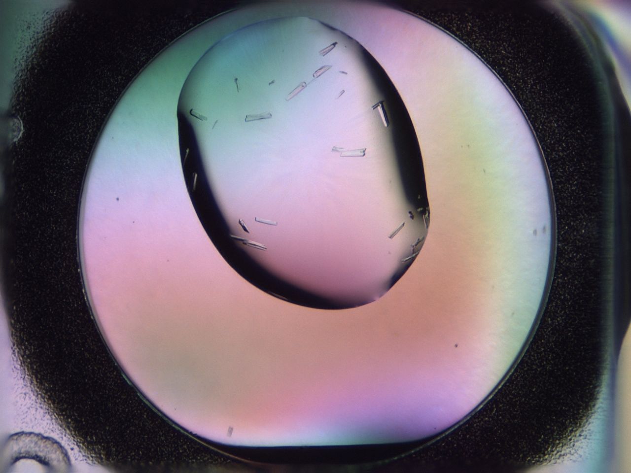 02jt_F10_ImagerDefaults_9.jpg