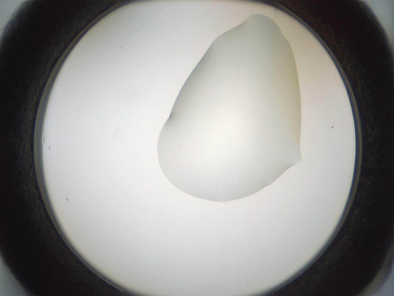 folderID263_plateID1263_batchID4188_wellNum61_profileID1_d2_r74033_ef.jpg