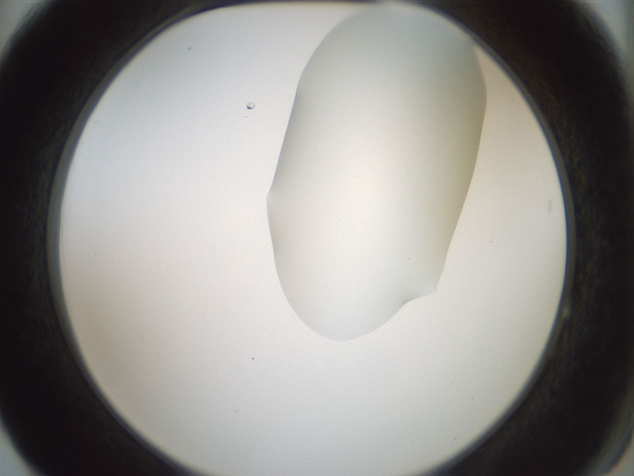 folderID263_plateID1263_batchID4188_wellNum64_profileID1_d2_r74039_ef.jpg