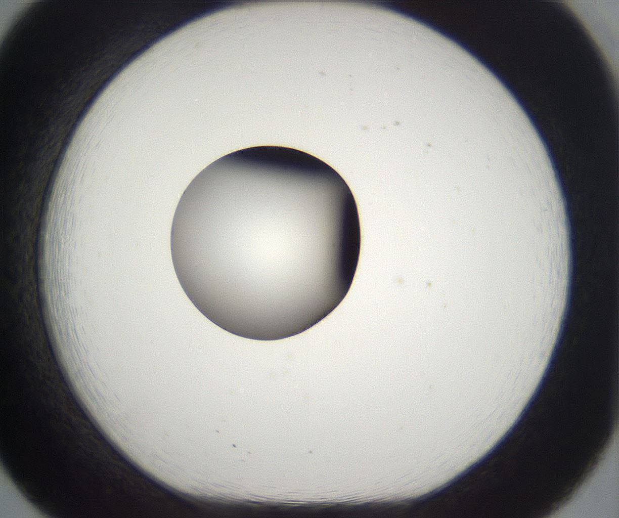 folderID263_plateID2263_batchID10360_wellNum20_profileID1_d1_r158165_ef.jpg