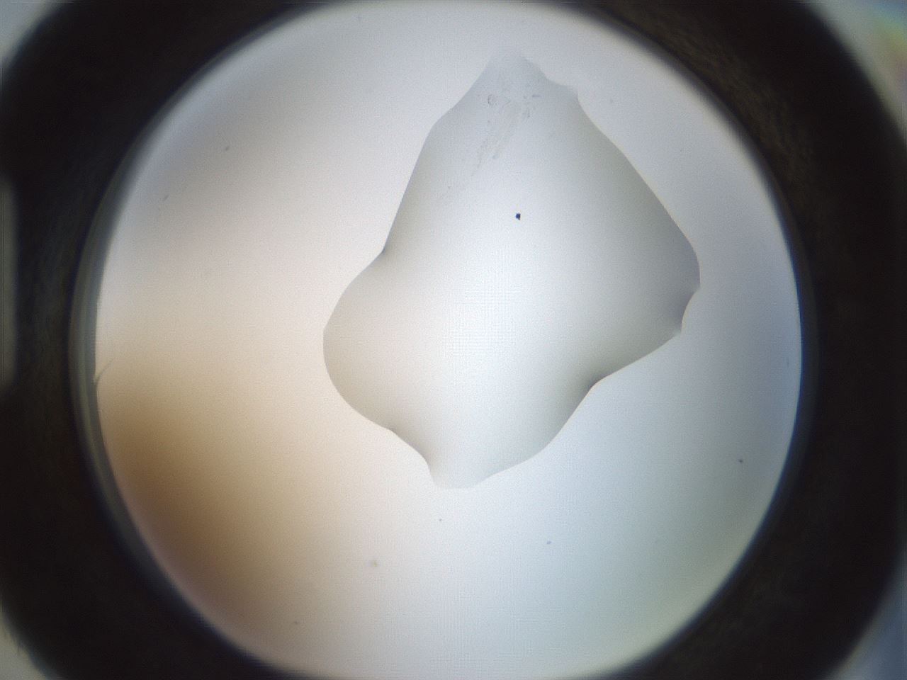 folderID263_plateID1263_batchID4188_wellNum90_profileID1_d1_r74090_ef.jpg