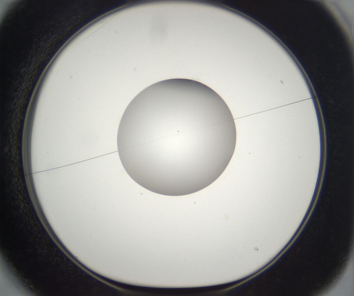 folderID263_plateID2263_batchID10360_wellNum13_profileID1_d1_r158158_ef.jpg