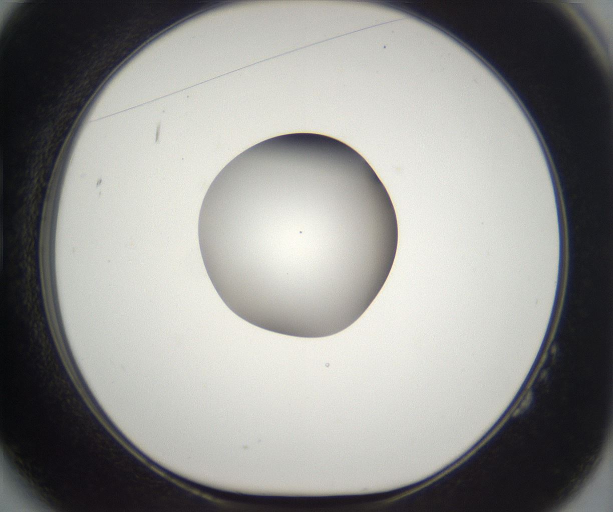 folderID263_plateID2263_batchID10360_wellNum14_profileID1_d1_r158159_ef.jpg