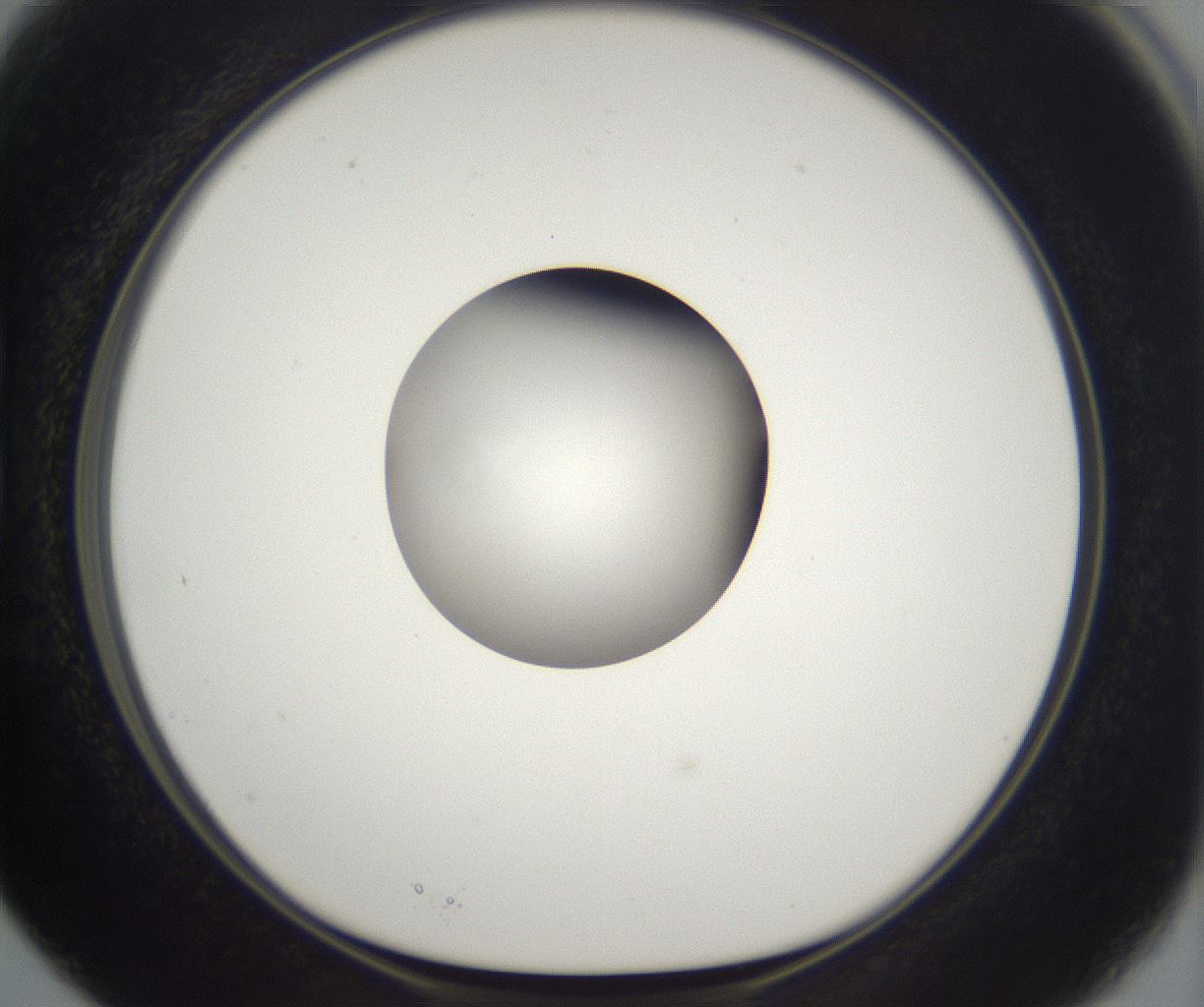 folderID263_plateID2263_batchID10360_wellNum15_profileID1_d1_r158160_ef.jpg