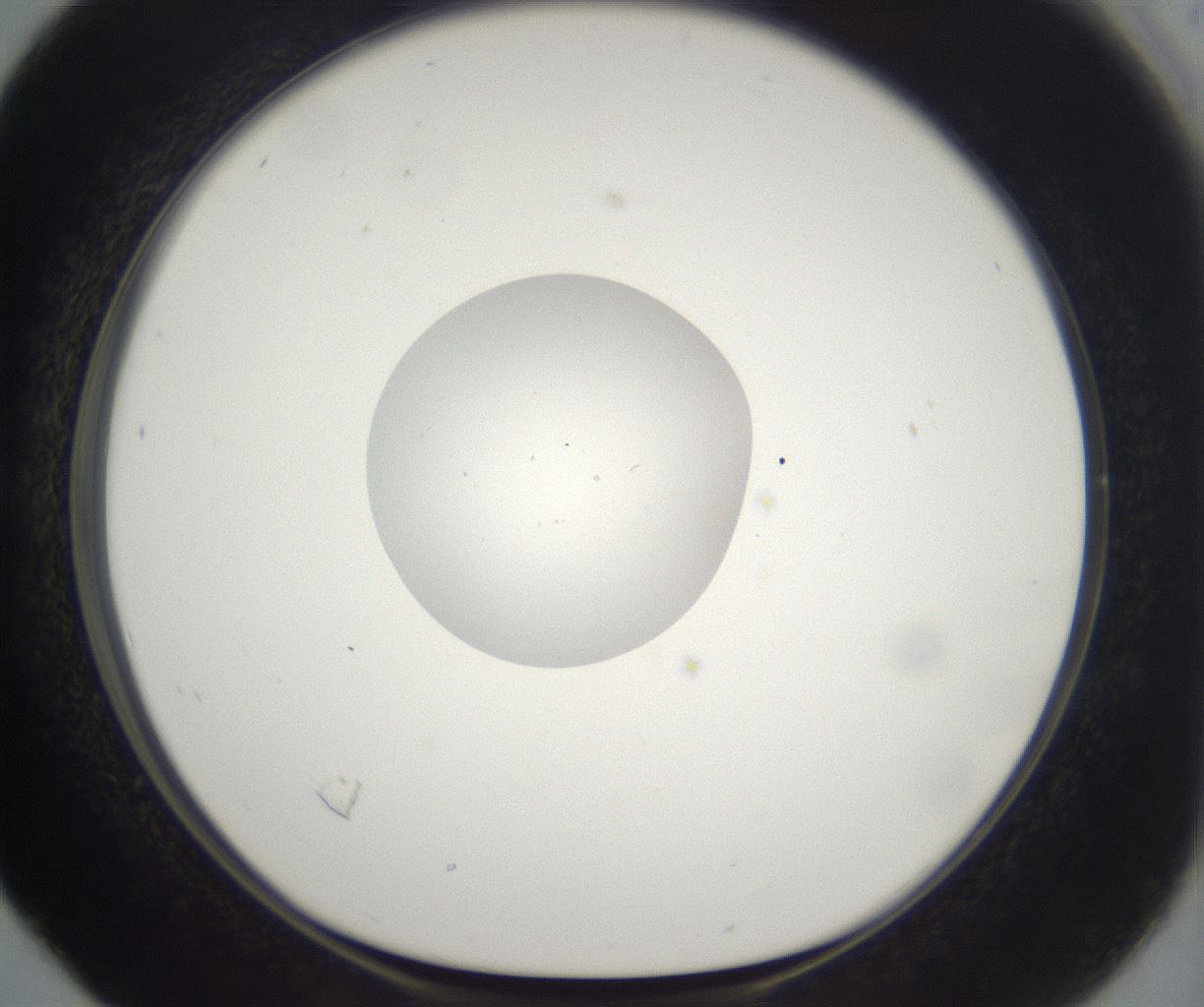 folderID263_plateID2263_batchID10360_wellNum16_profileID1_d1_r158161_ef.jpg