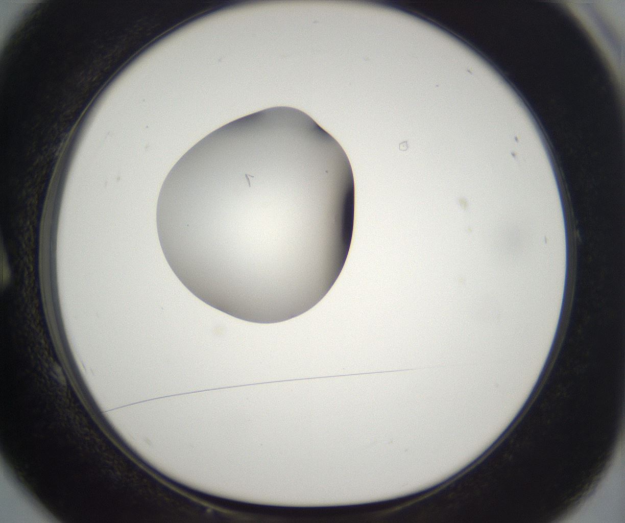 folderID263_plateID2263_batchID10360_wellNum1_profileID1_d1_r158146_ef.jpg